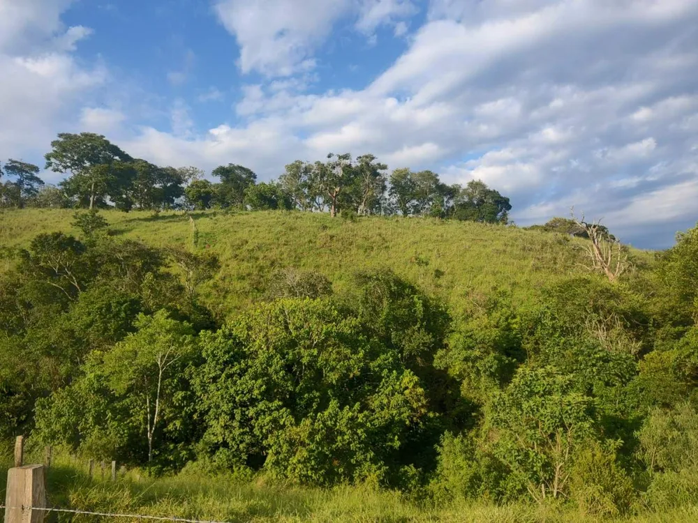 Sítio, 24 m² - Foto 7