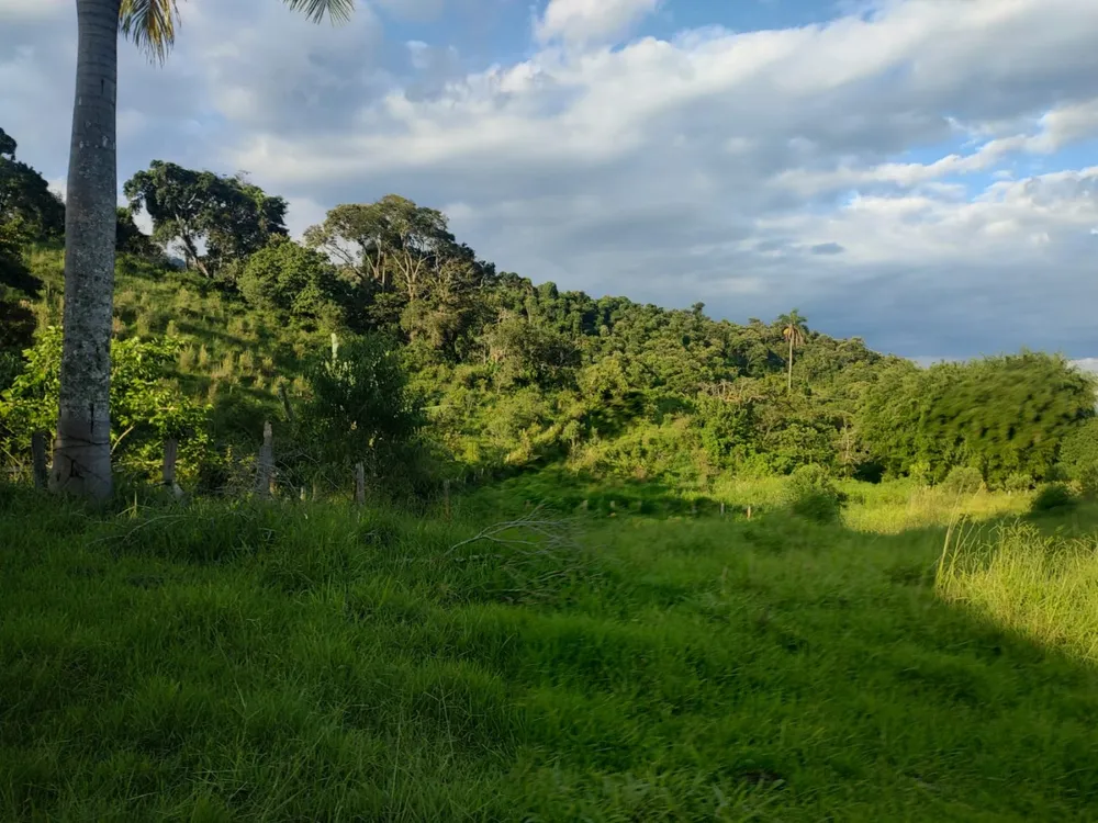 Sítio, 24 m² - Foto 5