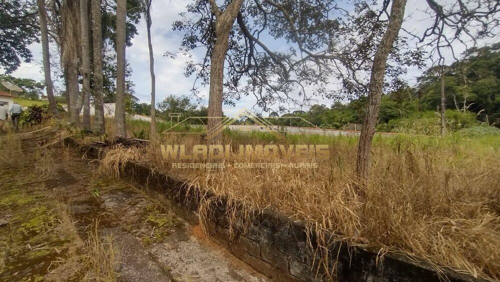 Chácara, 2 quartos, 2 hectares - Foto 1