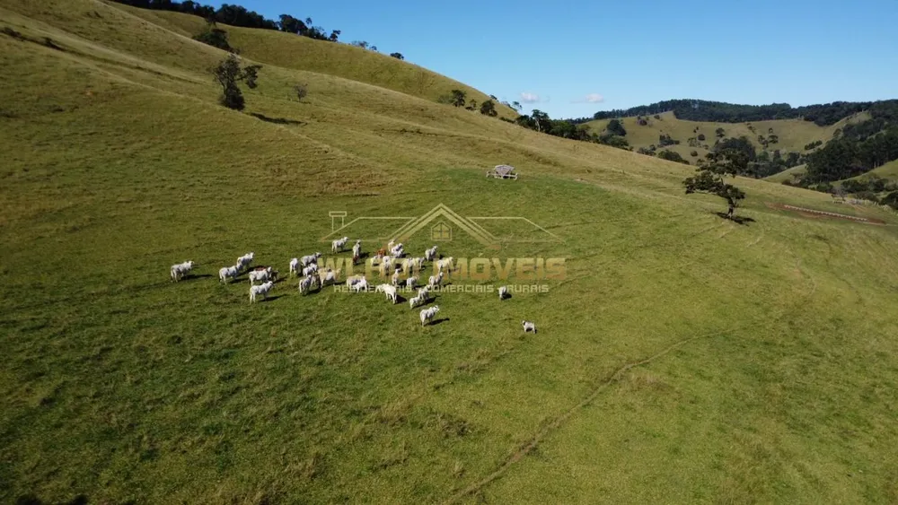 Fazenda, 100 m² - Foto 1