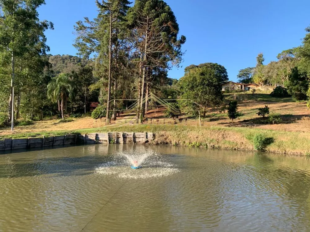 Fazenda à venda com 3 quartos, 4m² - Foto 1