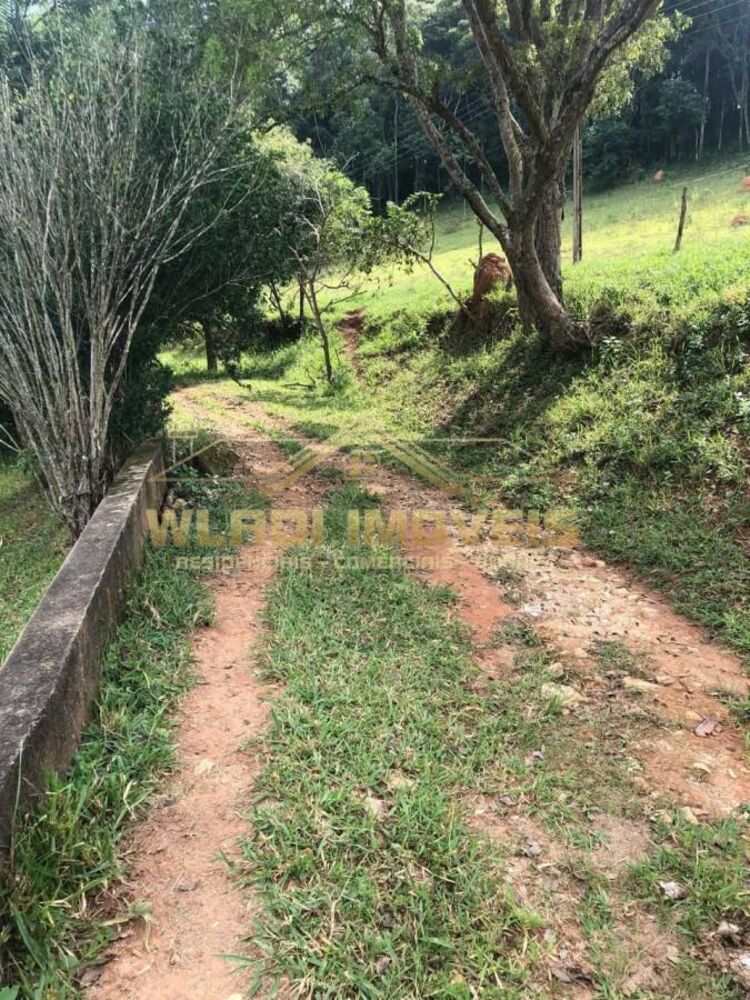 Sítio à venda, 78402m² - Foto 5