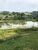 Sítio, 8 hectares - Foto 12
