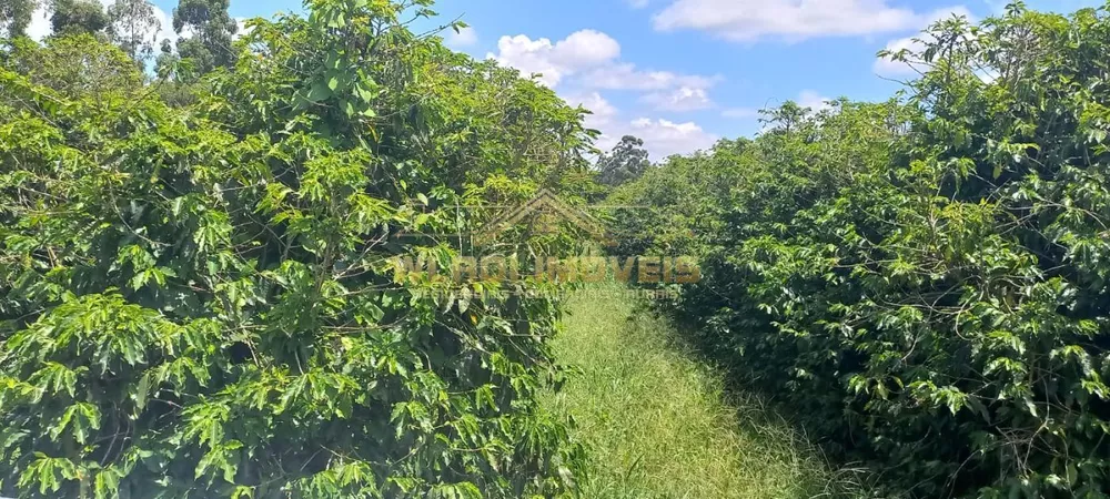 Fazenda à venda, 60m² - Foto 4