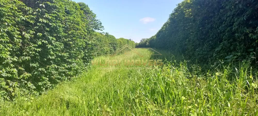 Fazenda à venda, 60m² - Foto 2