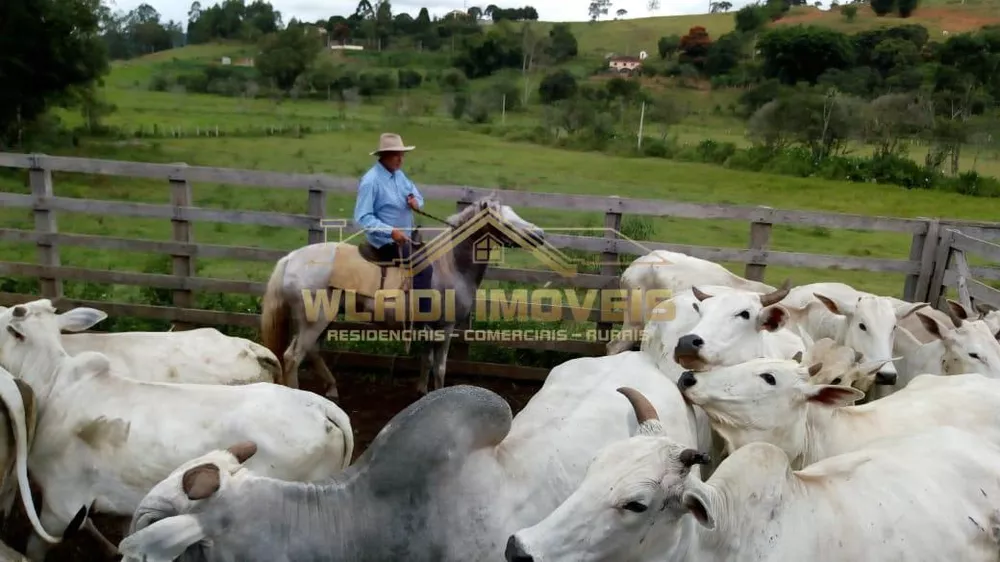 Fazenda à venda, 20m² - Foto 2