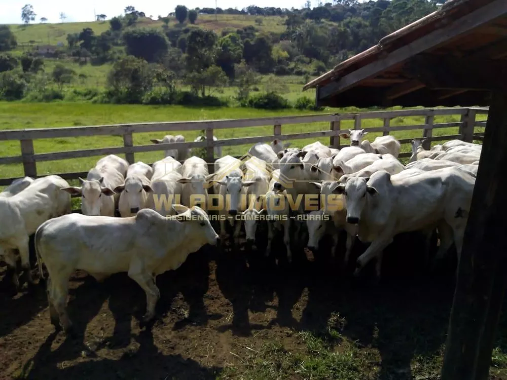 Fazenda à venda, 20m² - Foto 1