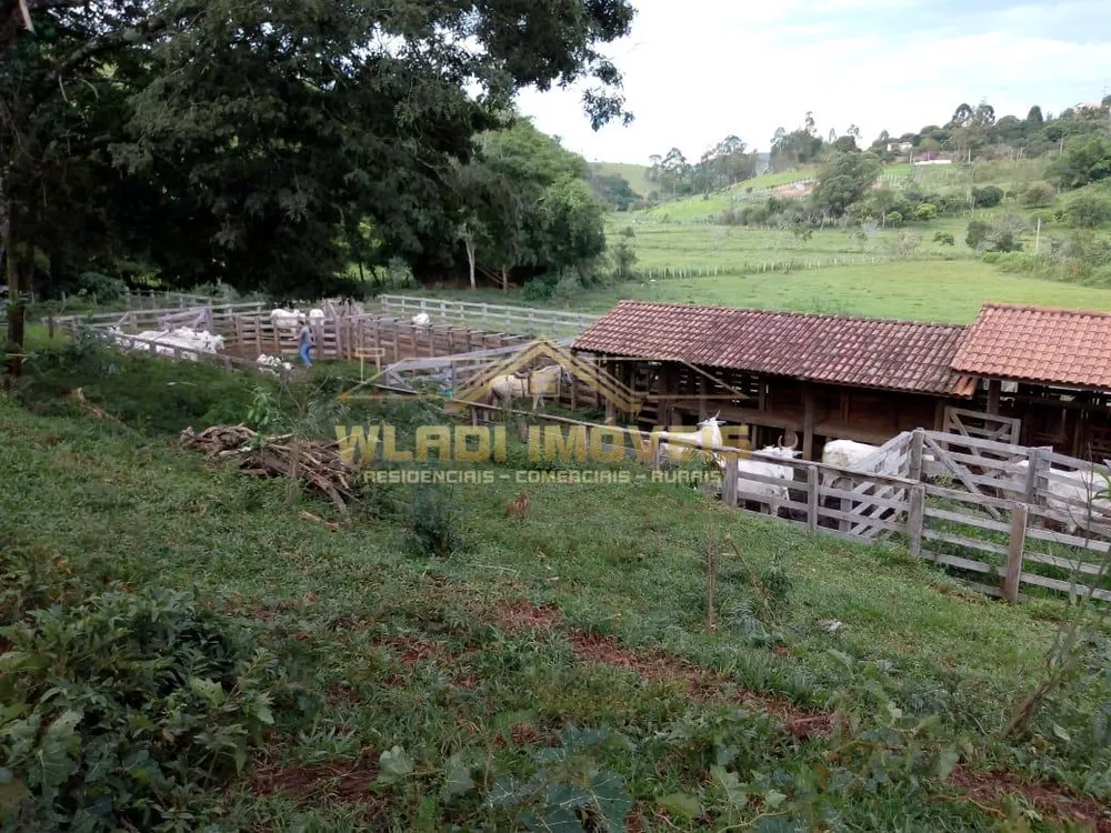 Fazenda à venda, 20m² - Foto 3