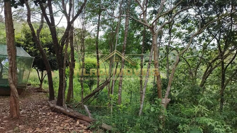 Prédio Inteiro - Foto 13