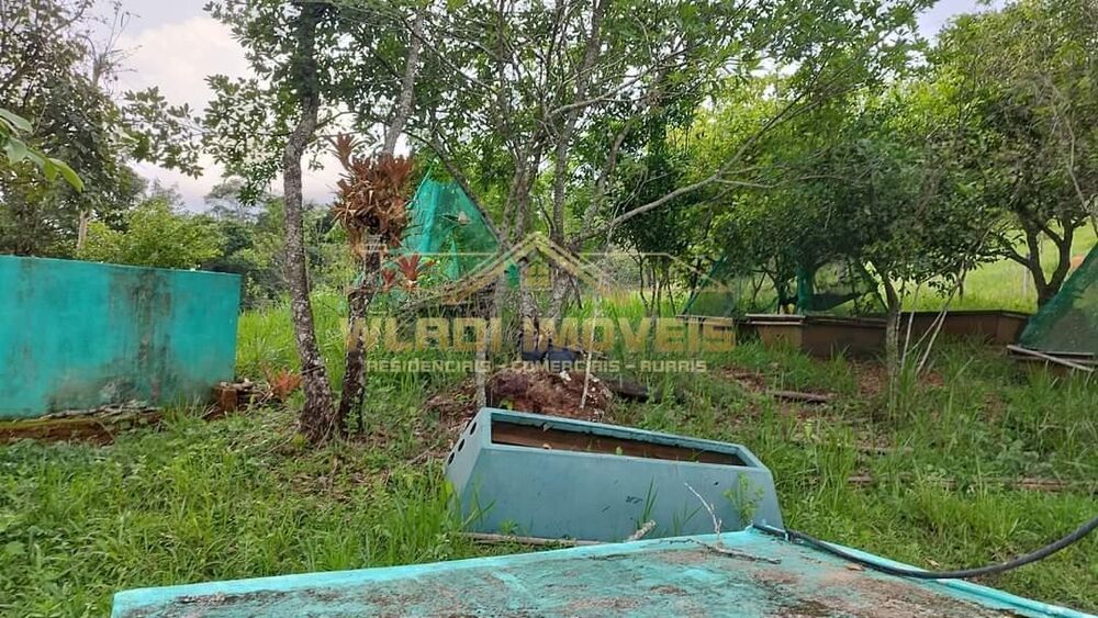 Prédio Inteiro - Foto 16