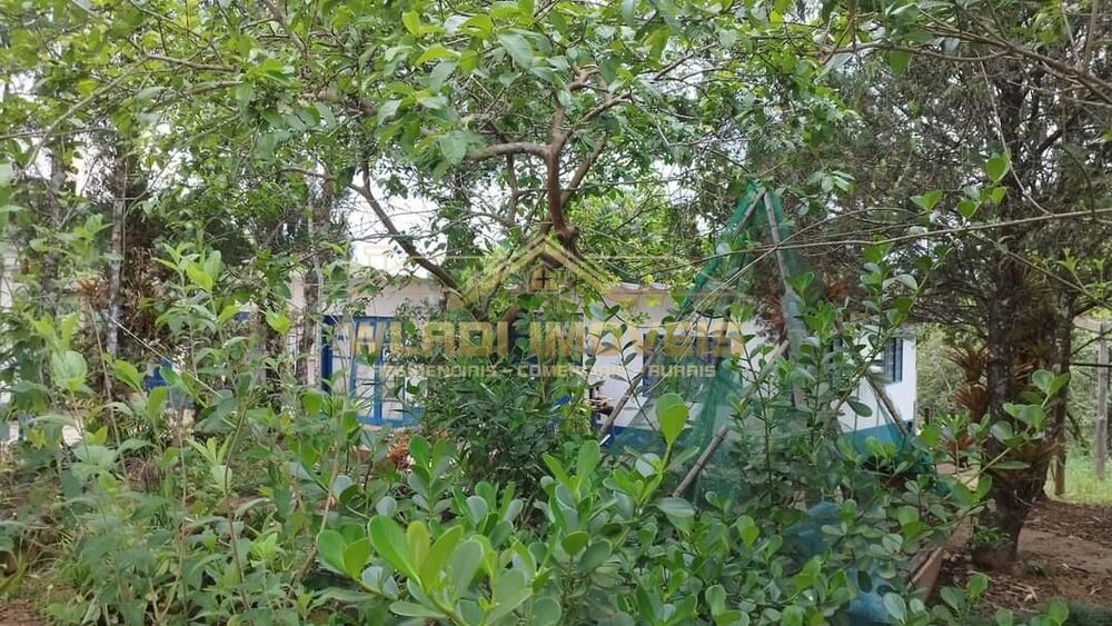 Prédio Inteiro - Foto 11