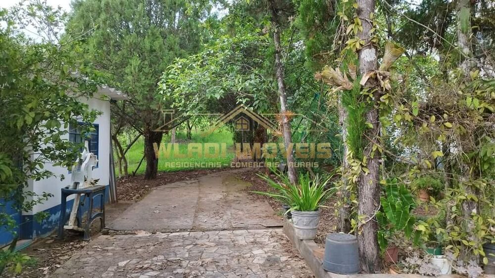 Prédio Inteiro - Foto 7