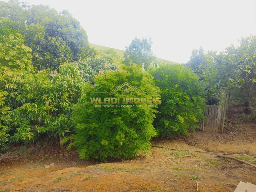 Chácara, 1 hectares - Foto 4