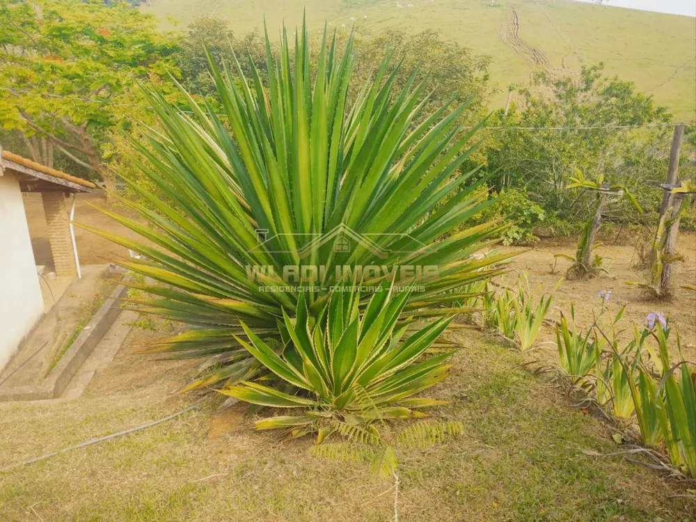 Chácara, 1 hectares - Foto 2