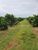 Fazenda, 953 m² - Foto 4