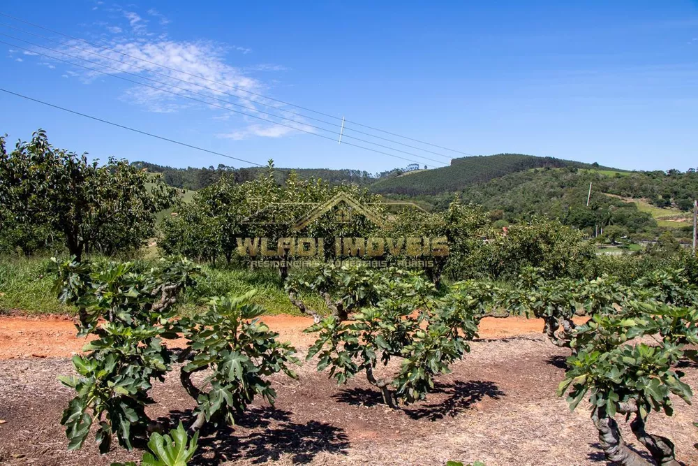 Fazenda à venda, 56785m² - Foto 3