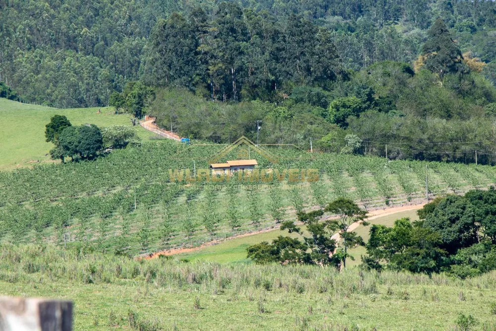 Fazenda à venda, 56785m² - Foto 1