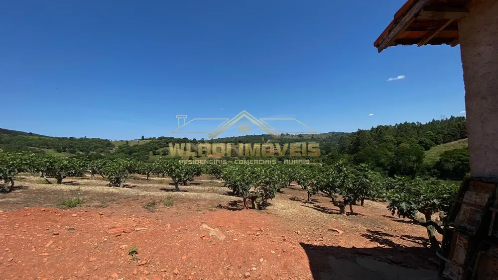 Sítio, 6 hectares - Foto 10