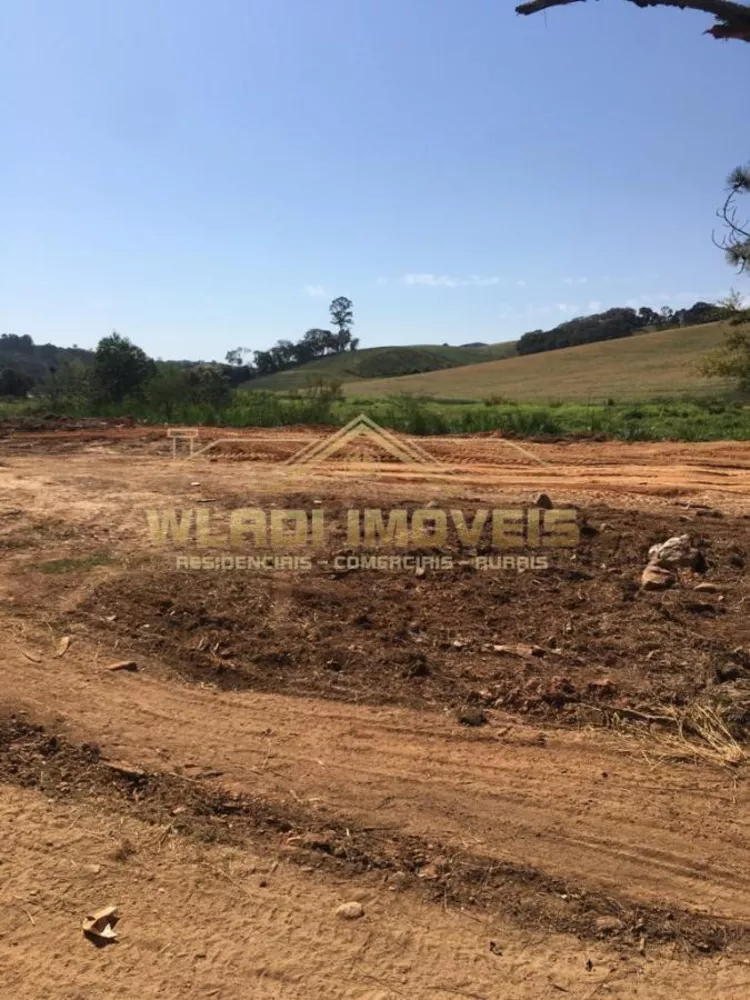 Fazenda à venda, 13000m² - Foto 3