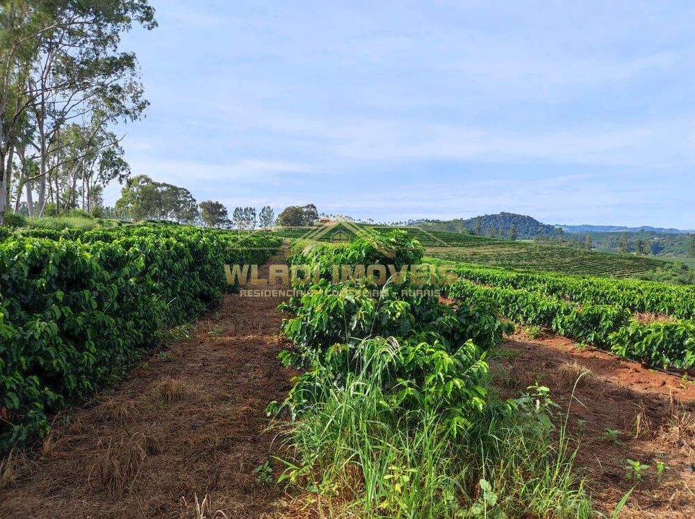 Fazenda à venda, 300m² - Foto 7