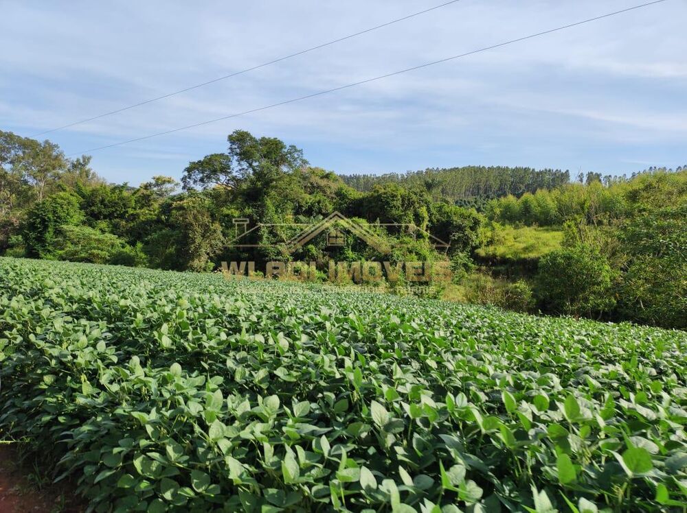 Fazenda à venda, 300m² - Foto 1