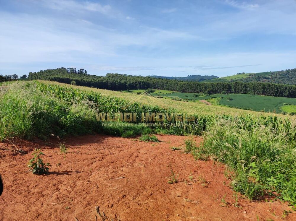 Fazenda à venda, 300m² - Foto 12