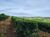 Fazenda, 300 m² - Foto 1