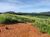 Fazenda, 300 m² - Foto 4