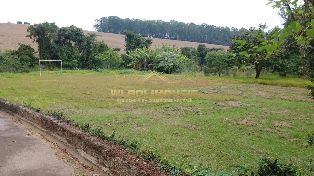 Fazenda, 16 hectares - Foto 4