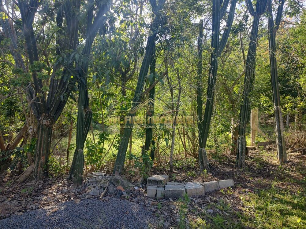 Sítio à venda, 1m² - Foto 7