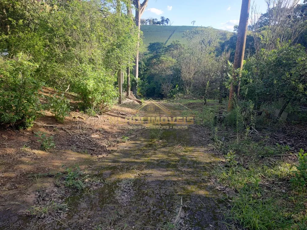 Sítio, 1 m² - Foto 8