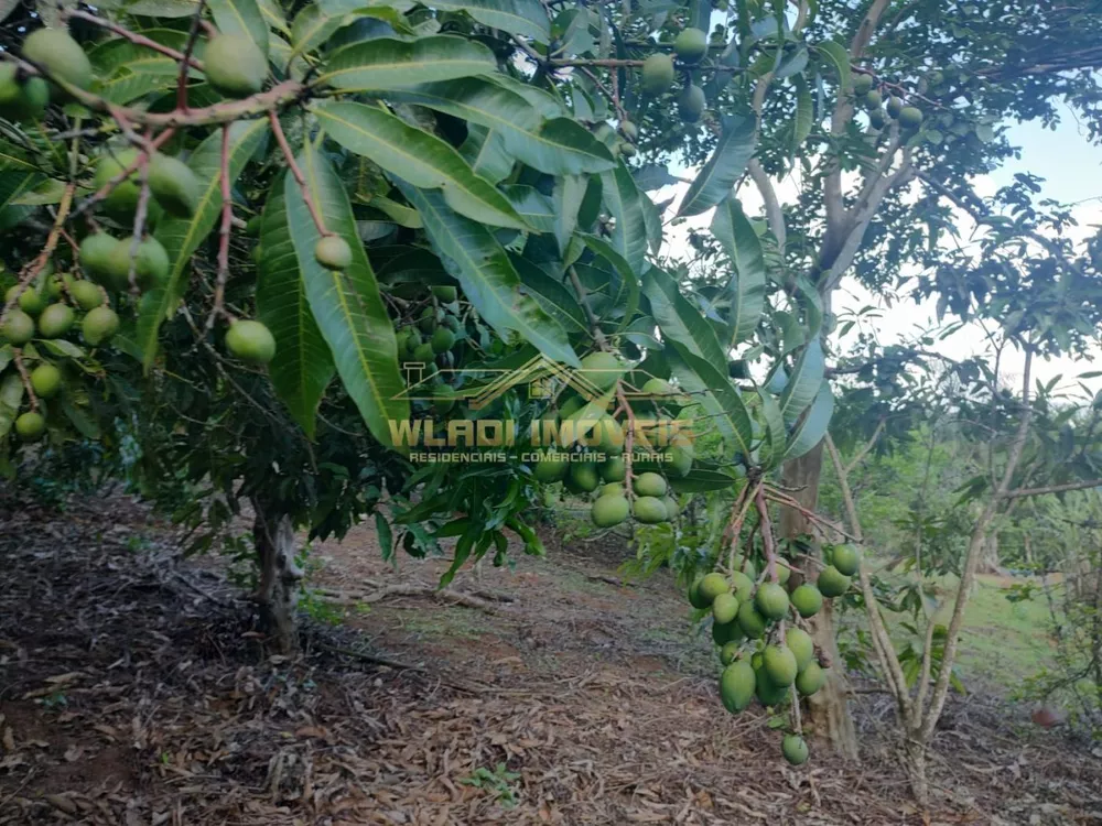 Sítio, 1 m² - Foto 17