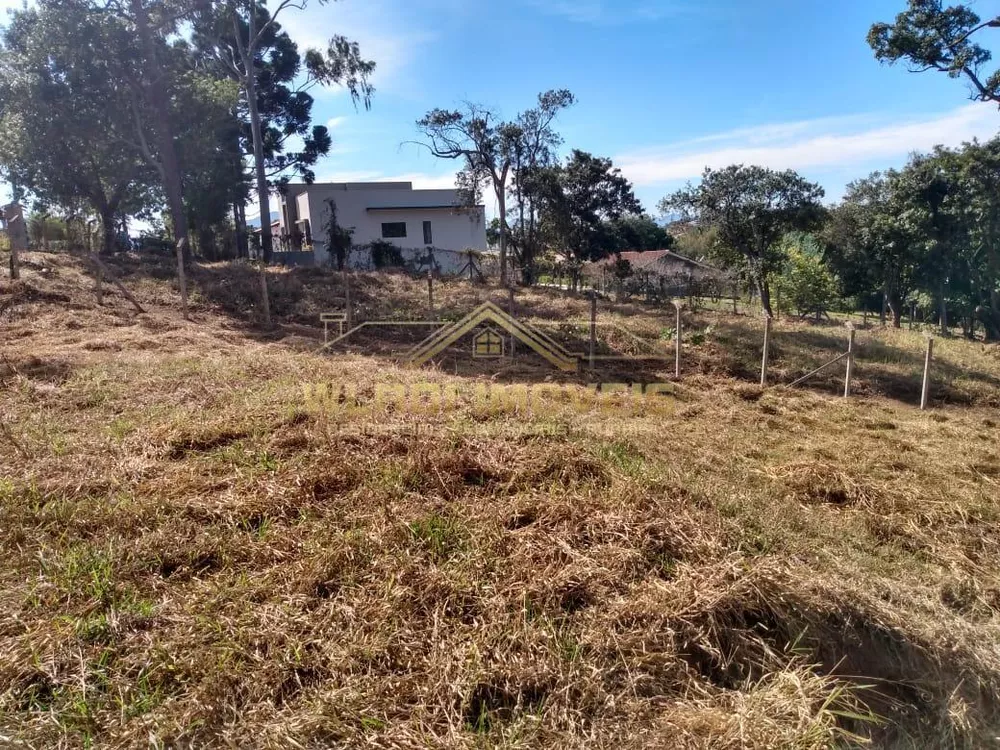 Terreno, 3000 m² - Foto 9