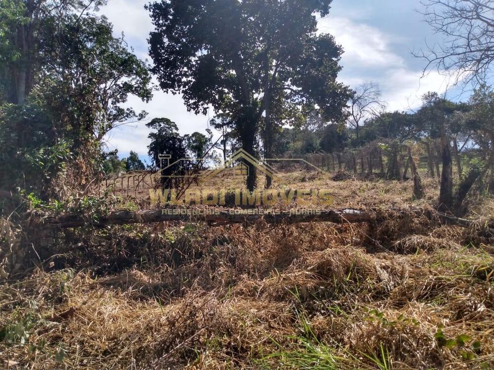 Terreno, 3000 m² - Foto 11