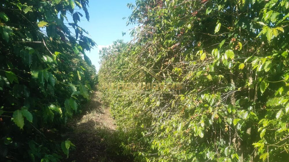 Fazenda, 40 m² - Foto 6