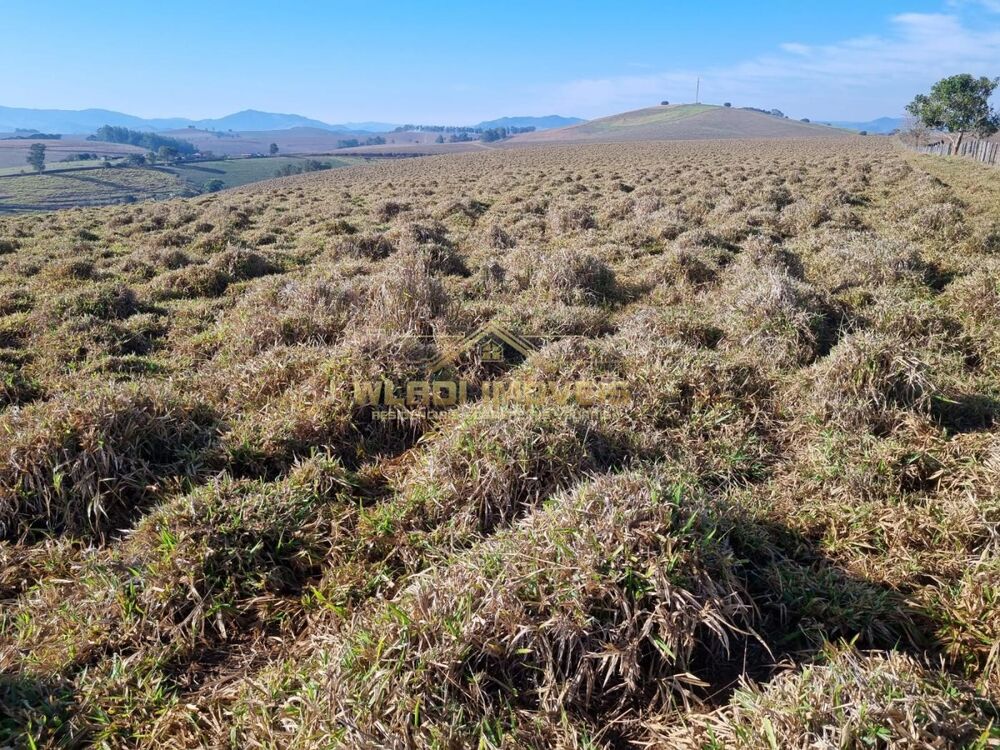 Fazenda, 84 m² - Foto 8