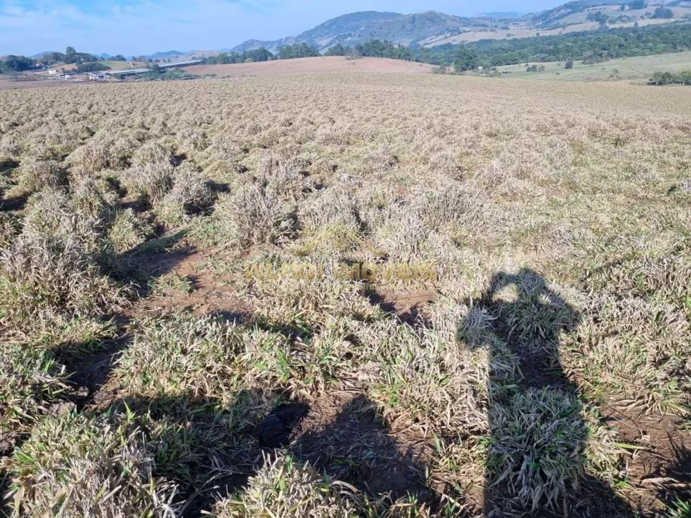 Fazenda, 84 m² - Foto 10