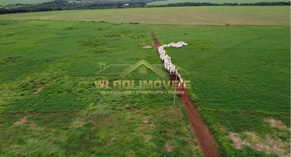 Fazenda, 68 m² - Foto 6