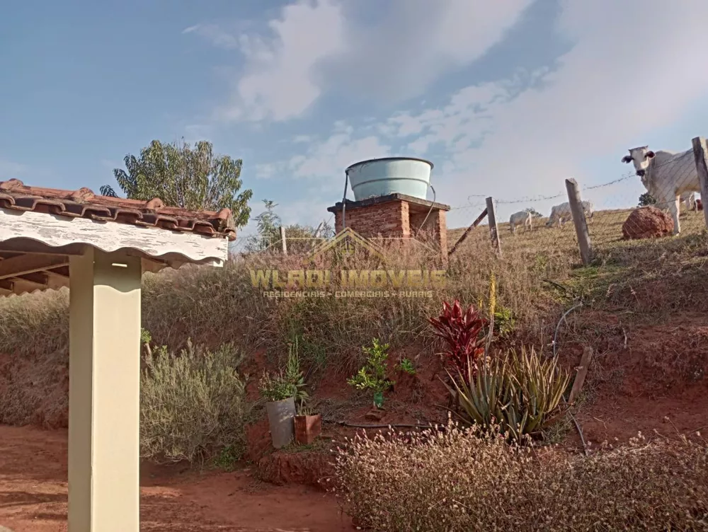 Sítio, 2 quartos, 4 m² - Foto 24