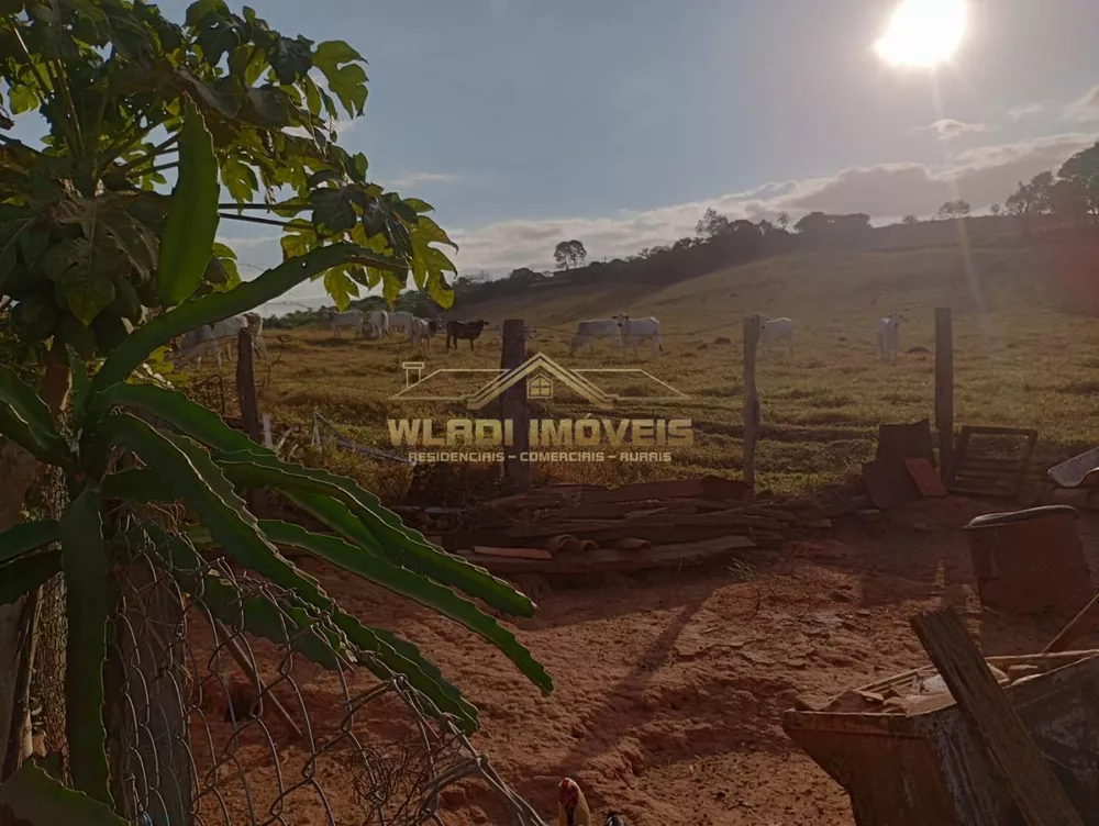 Sítio, 2 quartos, 4 m² - Foto 15