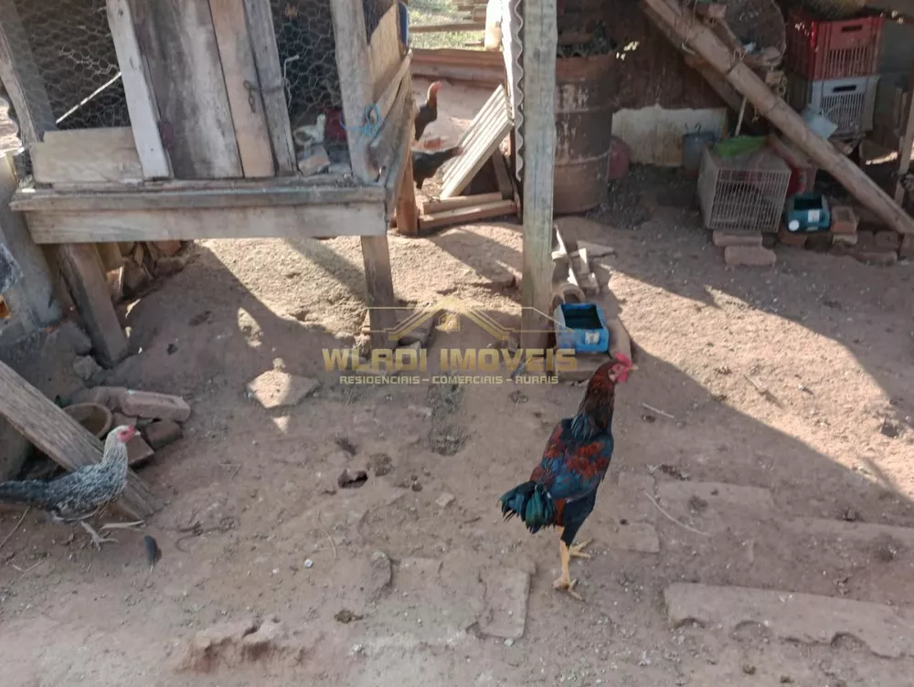 Sítio, 2 quartos, 4 m² - Foto 26