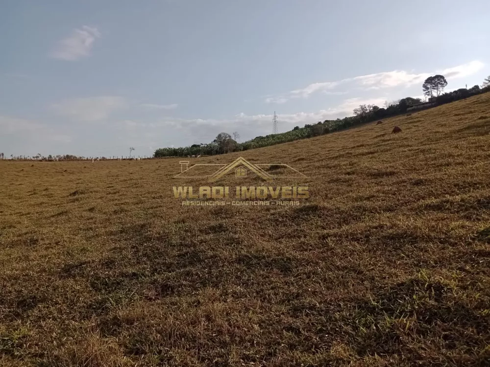 Sítio, 2 quartos, 4 m² - Foto 11