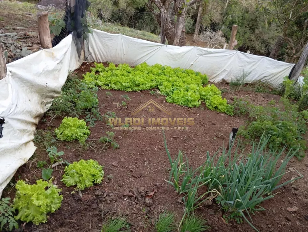 Sítio, 7 m² - Foto 25