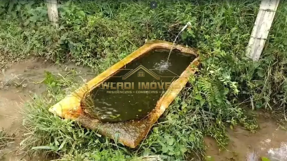 Sítio, 7 m² - Foto 12