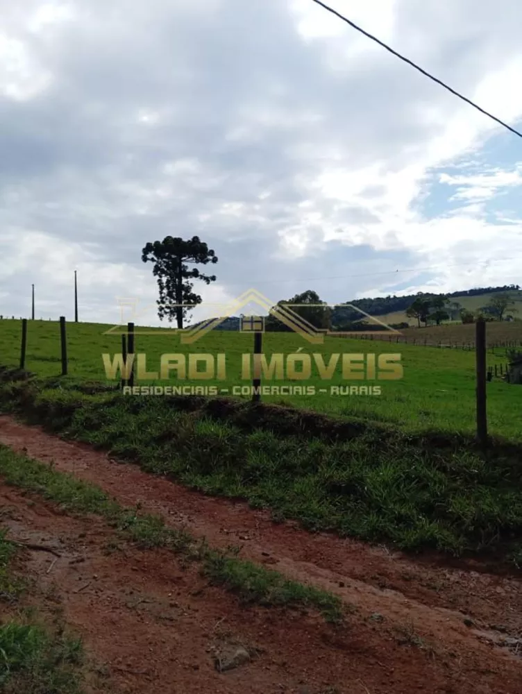 Sítio, 7 m² - Foto 18