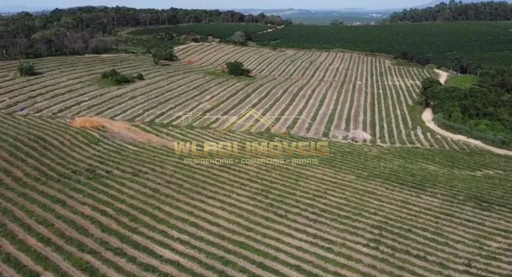 Fazenda, 86 m² - Foto 3