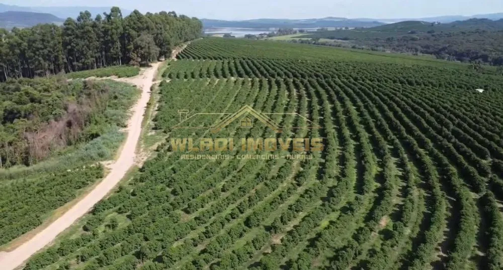 Fazenda, 86 m² - Foto 5
