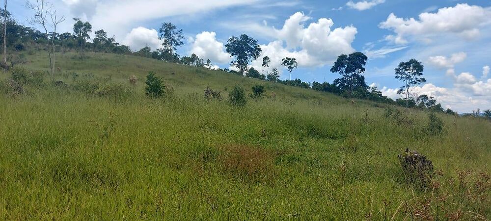 Loteamento e Condomínio, 23 m² - Foto 6