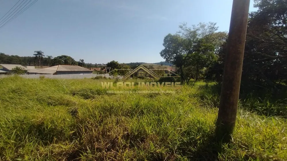 Terreno, 3000 m² - Foto 7