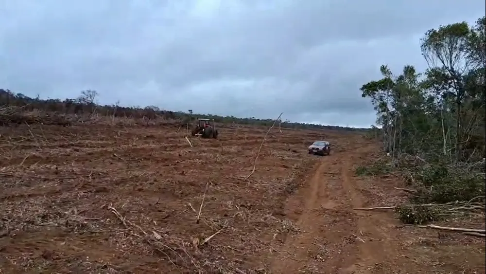Fazenda, 2200 m² - Foto 10